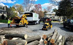 Lawn Grading and Leveling in Manchester, GA